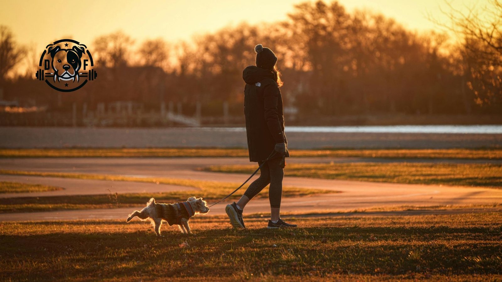 caminar es la base del deporte